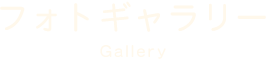 フォトギャラリー Gallery